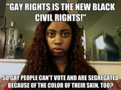 holybolognajabronies:  racismschool:  therhapsodyincidents:  I have problems with this. Yes, I personally hate the appropriation of the Civil Rights Movement by the Gay Rights Movement. Mainly due to the racism in the community as well as the goals the