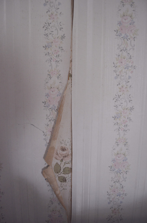 acidic-moon:  i find this so pretty, my bedroom wallpaper is starting to peel off but there’s another layer of wallpaper behind it coming out which is twice as beautiful as the top one. hmm 