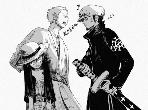 very mature Zoro
a-brilliant-loser asked teeething: Considering the latest OP chapter… Luffy trying to introduce Law and Zoro to one another!