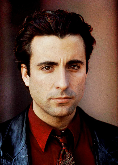 Gorgeous Andy Garcia Solenn E Andy Garcia As Vincent Mancini In The