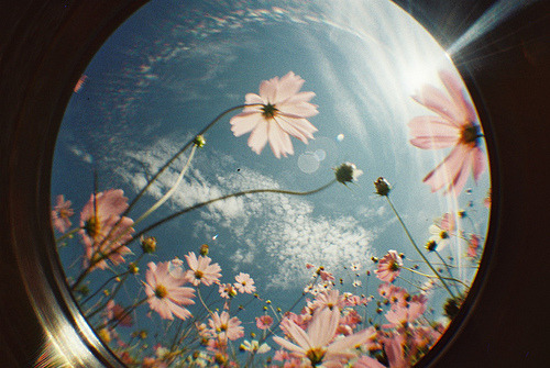 itbeginswithahouse.tumblr.com/post/20537704581/