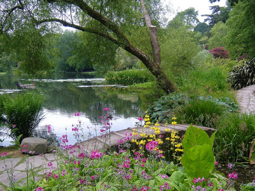 Gardens of Mount Stewart a stately home in County Down, Northern Ireland (by Pamela B).