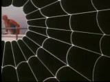 the-whovian-who-lived:TV Adaptations of Spider-ManThe Amazing Spider-Man (1977)