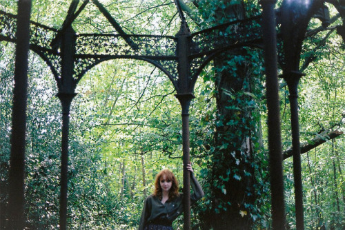 In the eye of the forest by emilyharriet on Flickr.
