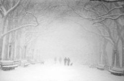 liquidnight:  Bruce Davidson The Mall in Central Park During a Blizzard New York City, 1992-1995 [via Chris Beetles Fine Photographs] 