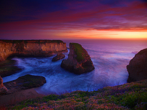 llbwwb:  Wow,Shark Fin Cove,Breathtaking! (by pendeho)