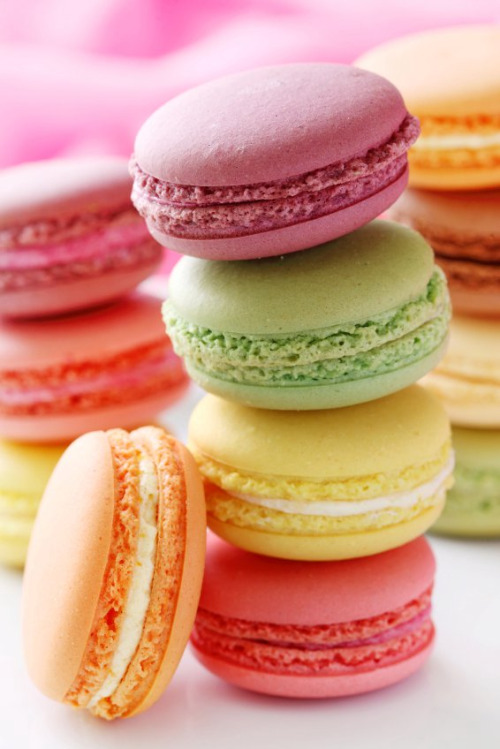 Click here for the most beautiful blog you’ve ever followed :)