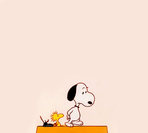 Dulce introducción al Caos.