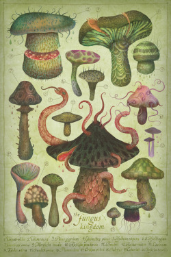 fairytalesandvampires:  The Fungus Kingdom “scientific” illustration study watercolors, colored pencils, ink + PS, AI 