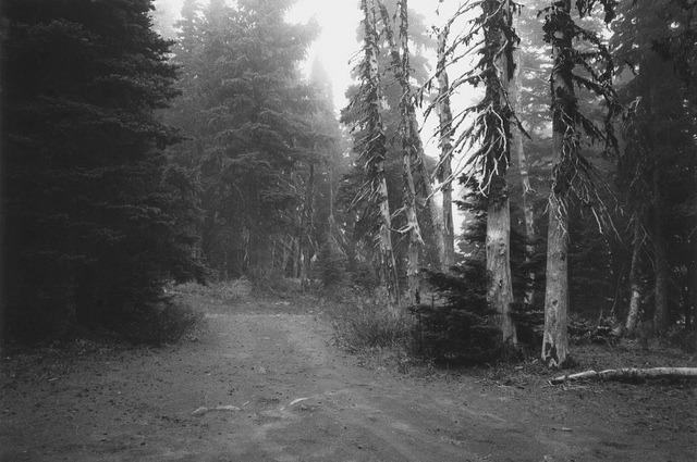 synnestorm:  Untitled by anna verlet shelton. 