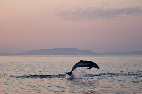 Kvarner by Joel Mrvcic photo archive on Flickr.