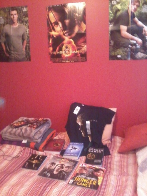 Scattered bit of The Hunger Games merchandise! 