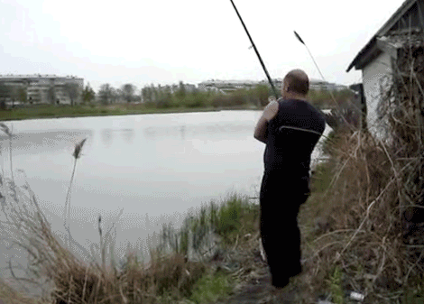 toptumbles:Hungry cat snatches fish