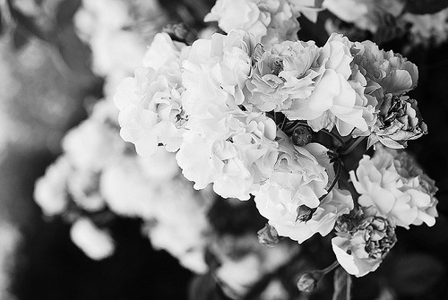 aforia.tumblr.com/post/22466129755/