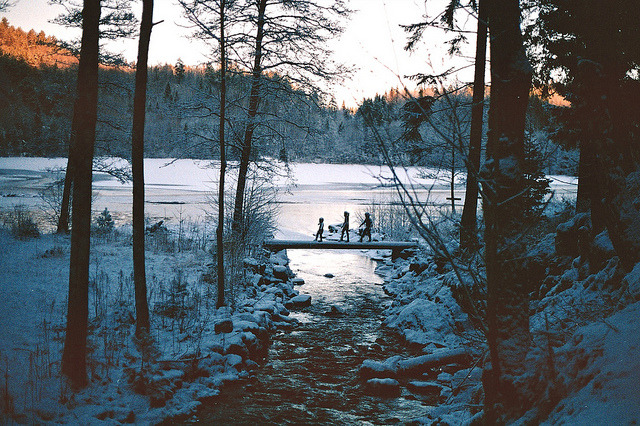 dyingw1ll:  Crossing by Kym Ellis on Flickr. 