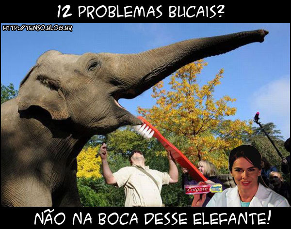 colgate-total-12:  kkkkkkkkkkkkkkkkkkkkkkkkkkkkkk colgate-total-12 