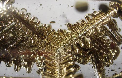 dreamdeath:  cesium crystals 