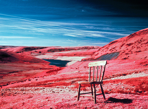 cafevienes:  [the Land of Small Chairs] (por uηderaglassbell) 