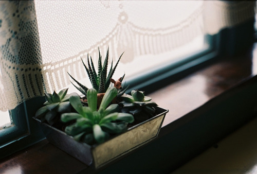 untitled by cha. on Flickr.