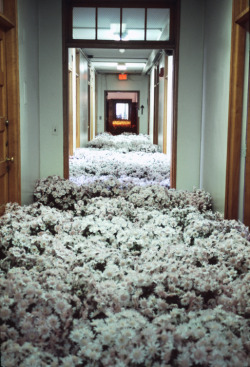  Bloom By Anna Schuleit Is An Installation In The Soon To Be Demolished Massachusetts