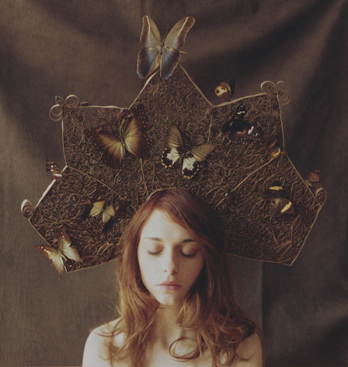marwanepallas: And then they died and I nailed them to the boards. by laura makabresku on Flickr.