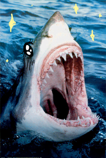 lame-squared:  sharkswithanimeeyes:  Original image submitted by epicwinsauce &amp;
