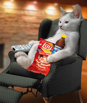 Minha vida resumida em um gif: