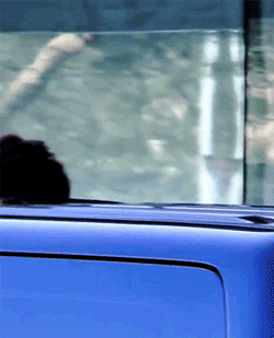 (ღ˘⌣˘ღ)