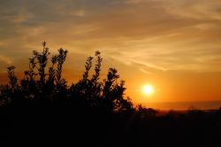 &ldquo;Vamos ver o pôr do Sol, me dê a mão..&rdquo;