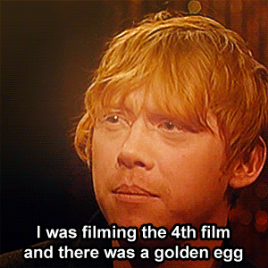 “You have been fascinated by this whole universe of Harry Potter, and all the props