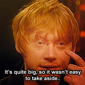 “You have been fascinated by this whole universe of Harry Potter, and all the props