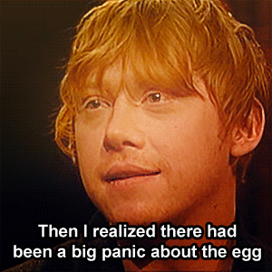 “You have been fascinated by this whole universe of Harry Potter, and all the props