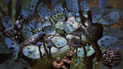 animationtidbits: Nausicaa - Backgrounds