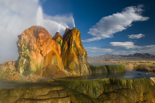 Fly Geyser, located near the Black Rock Desert in Northern Nevada, USA (by eaross1961).