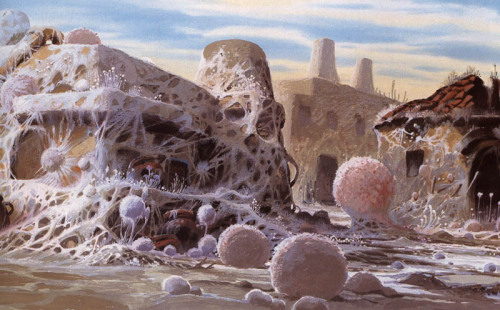 animationtidbits: Nausicaa - Backgrounds