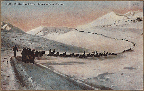 todaysdocument:“A crack dog team, Alaska.”Just in time for the finish of this year’s Iditarod.Color 