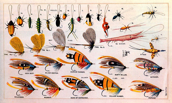 oldfishingphotos:
“ Flies from S. Allcock & Co. Catalog, 1887
Source: The Ultimate Fishing Book
”