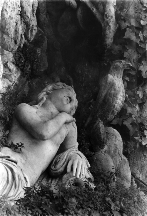 birdsong217:Edwin Smith (1912-1971) Study of a Marble Figure