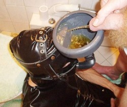 tomcs128:  One tart and tangy load of blonde piss coming down the tube.  Swallow like your life depended on it, boy.  Don’t make us pinch your nose shut to teach you, ‘cause we will teach you! found on Primal Piss Pigs 