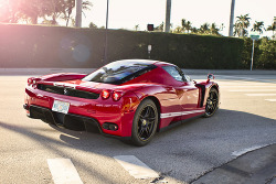 automotivated:  Ferrari Enzo (by AM Photography ®)