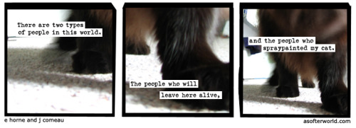 softerworld:  A Softer World: 784 (Ok. Point him out, Mittens.) 
