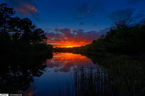 lori-rocks:  Sunset Over Lake in Palm Beach County Florida By Captain Kimo