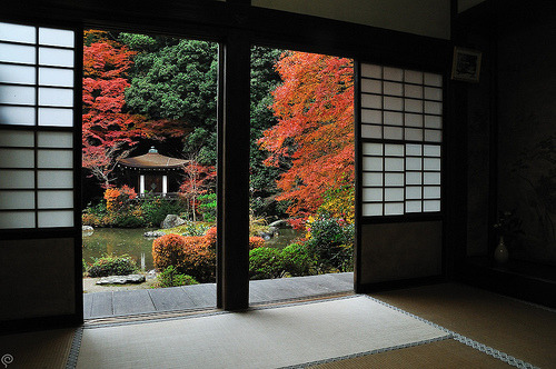 japanesedream:  毘沙門堂 (by Patrick Lin) 
