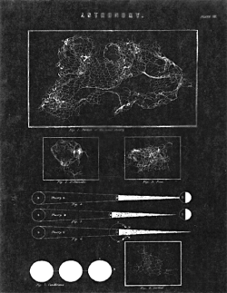 Gravitational Beauty