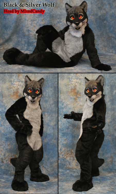 Beautiful Black & Silver Wolf suit! (Head by MixedCandy) Suit includes digitigrade leg padding, 