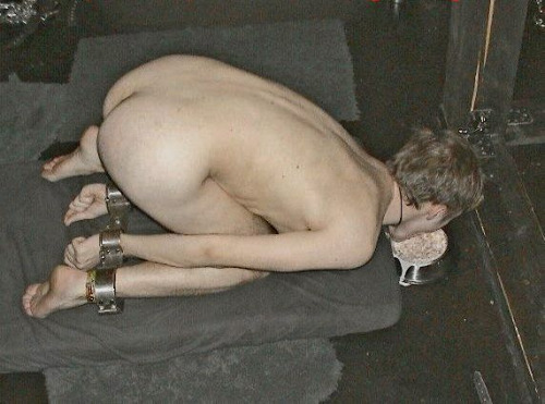 str8worship-deactivated20120426:You have five minutes to eat your dinner, faggot, and don’t spill an