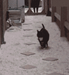 Onlylolgifs:  More Hilarious Gifs Here!! 