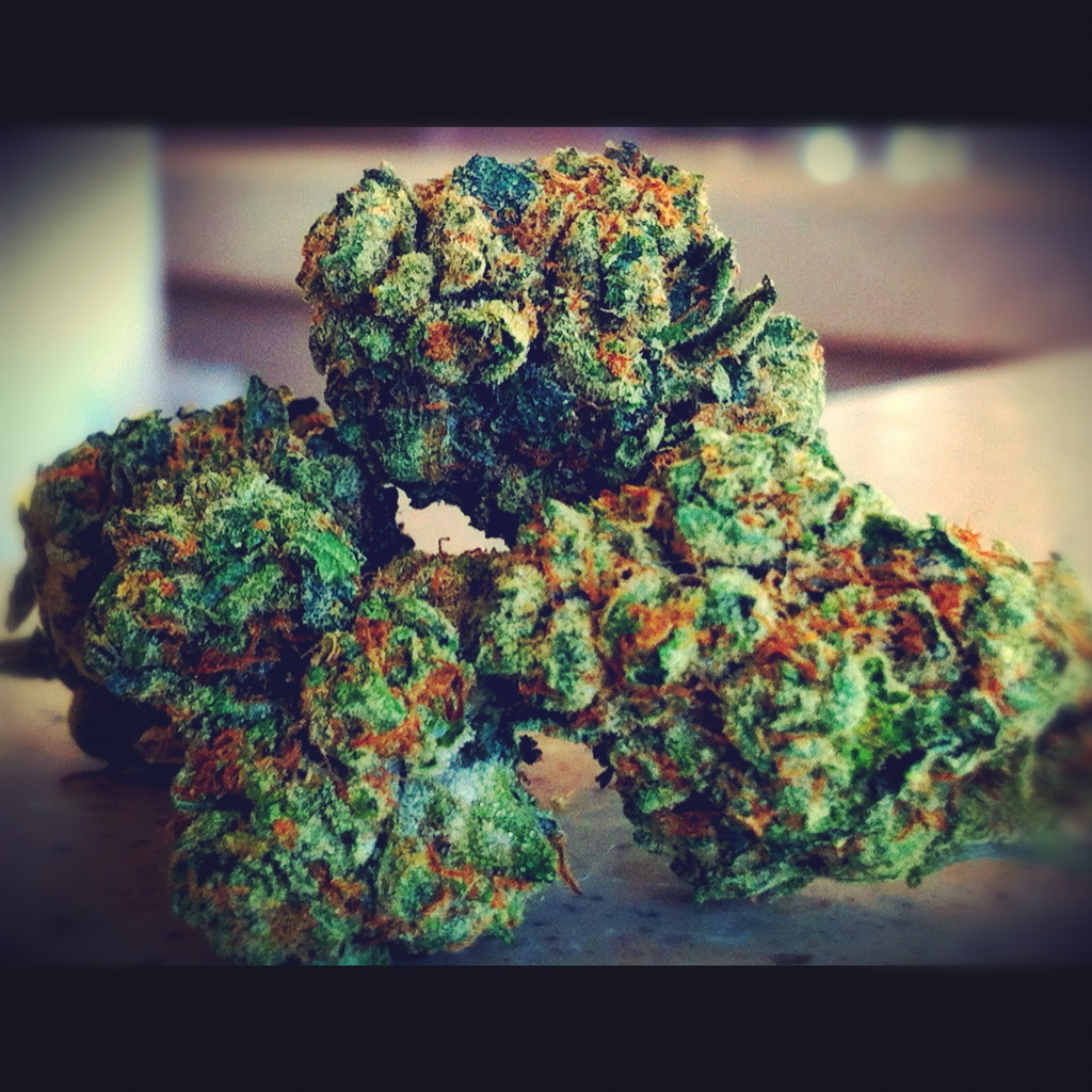 vampirekitten666:  SoFla bud :D 