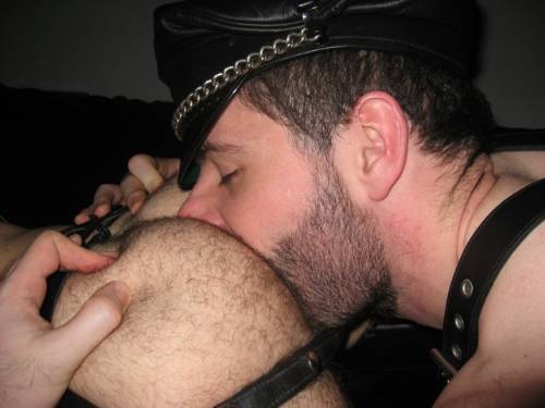 hairyfaces:  Get in there