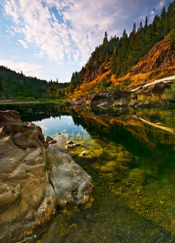 bluepueblo:  Eel River, Smithe Redwood Forest,